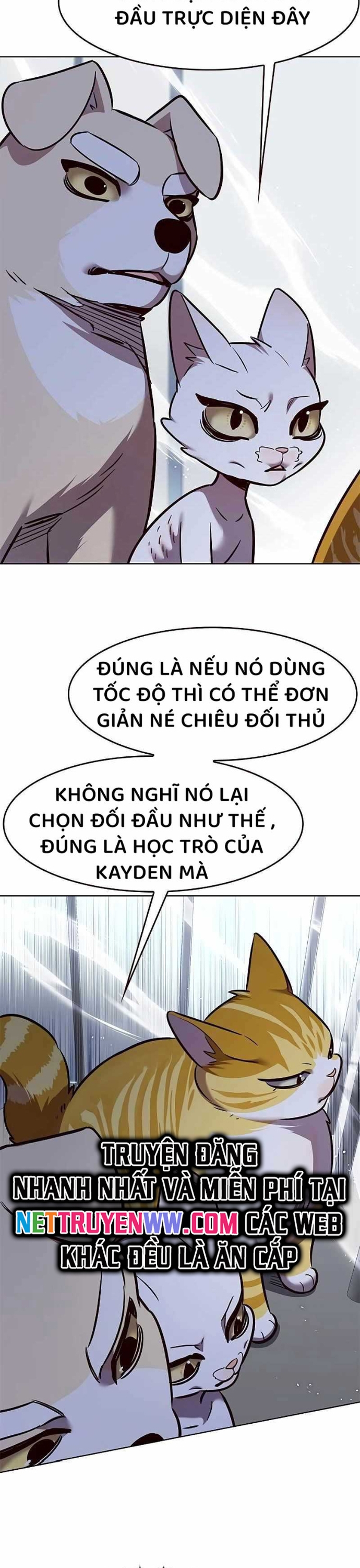 Hoá Thân Thành Mèo - Chap 324